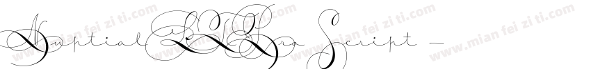 NuptialLTPro Script◆字体转换